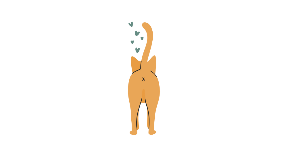 Illustration d'un chat avec des coeurs 