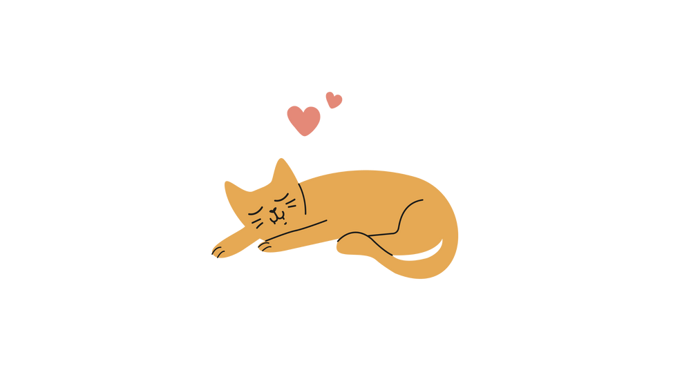 Illustration d'un chat qui dort