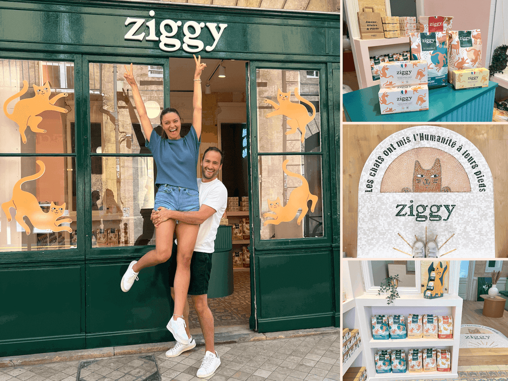 Devanture de la boutique Ziggy à Bordeaux 