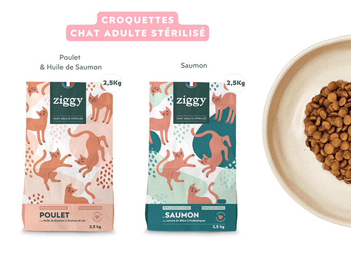 Contenu du coffret découverte Croquettes Party de Ziggy pour chat adulte stérilisé au saumon et au poulet