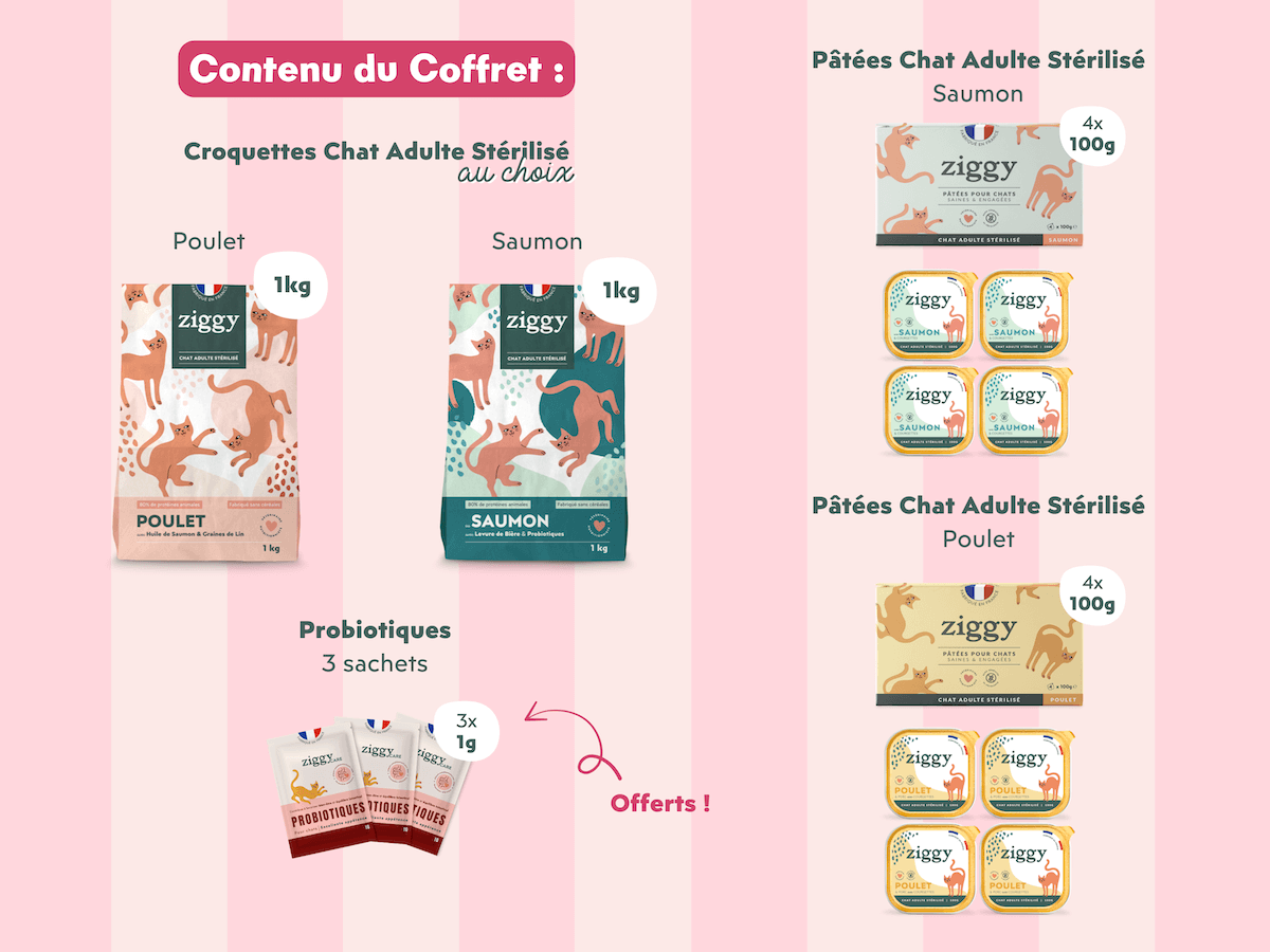 Composition du coffret découverte chat adulte stérilisé