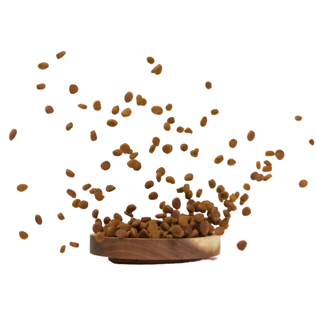 Croquettes pour chat sans céréales dans une gamelle