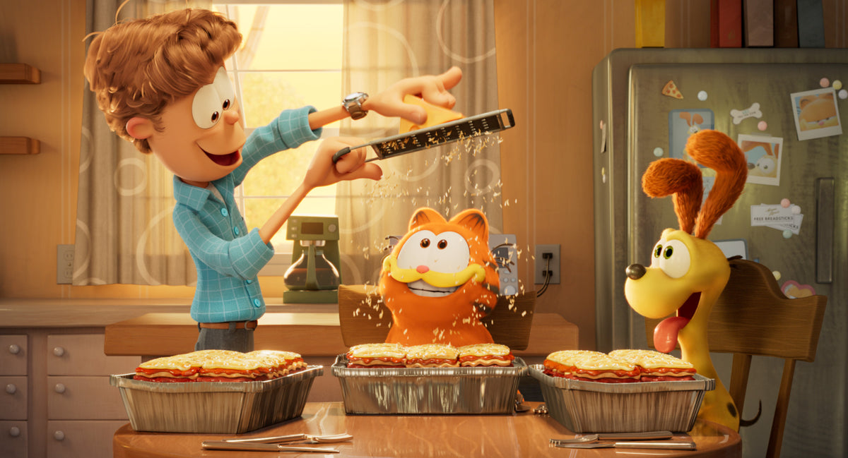 visuel du film Garfield Héro Malgré Lui en collaboration avec Ziggy pour chat