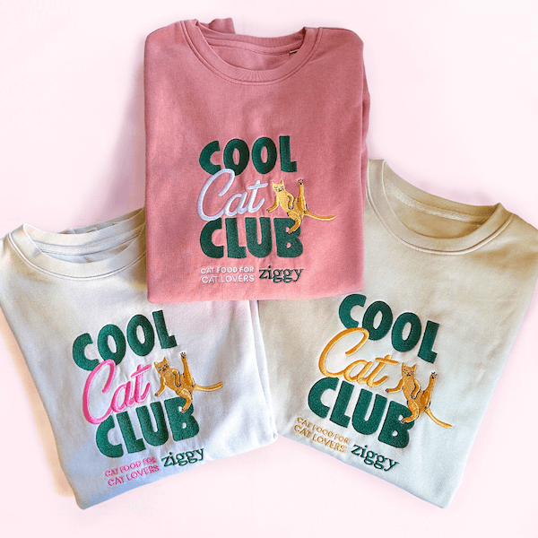 Pull Cool Cat Club de Ziggy
