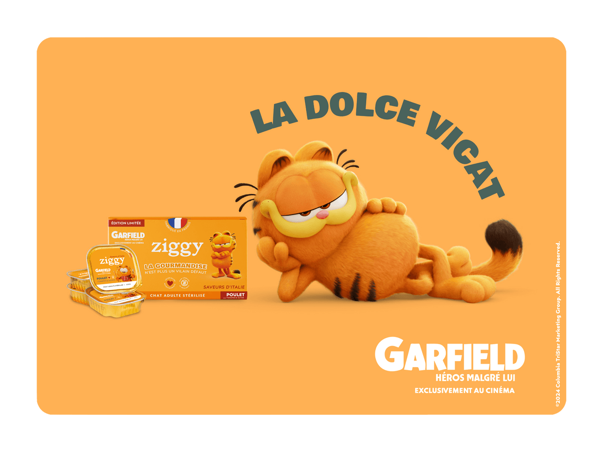 Garfield avec la pâtée pour chat adulte stérilisé Ziggy en édition limitée avec Garfield