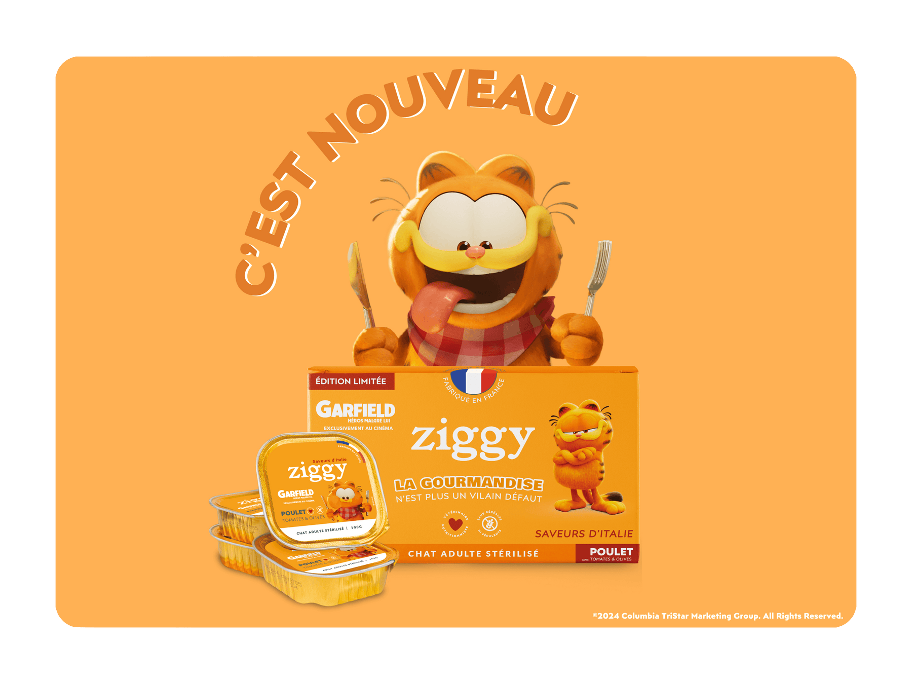 Garfield avec la pâtée pour chat adulte stérilisé Ziggy en édition limitée avec Garfield
