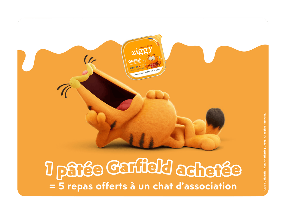 Garfield avec la pâtée pour chat adulte stérilisé Ziggy en édition limitée avec Garfield