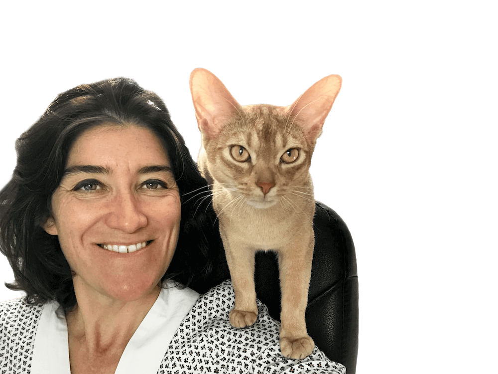 Géraldine Blanchard et son chat, vétérinaire spécialiste en nutrition féline qui a développé les recettes Ziggy pour chat