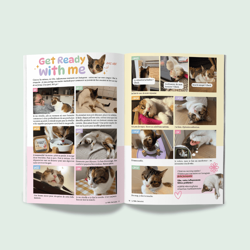 Page du magazine n°10 Ziggy pour les chats, le Félin Déchaîné