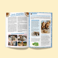 Page du magazine n°10 Ziggy pour les chats, le Félin Déchaîné