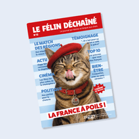 Couverture du magazine pour chat Le Félin Déchaîné de Ziggy