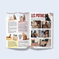 Magazine pour chat Le Félin Déchaîné de Ziggy