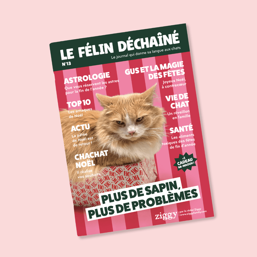 Magazine pour chat Ziggy le Félin Déchaîné, édition n°13
