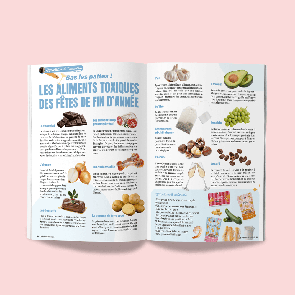 Magazine pour chat Ziggy le Félin Déchaîné, édition n°13