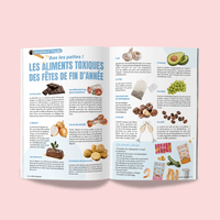 Magazine pour chat Ziggy le Félin Déchaîné, édition n°13