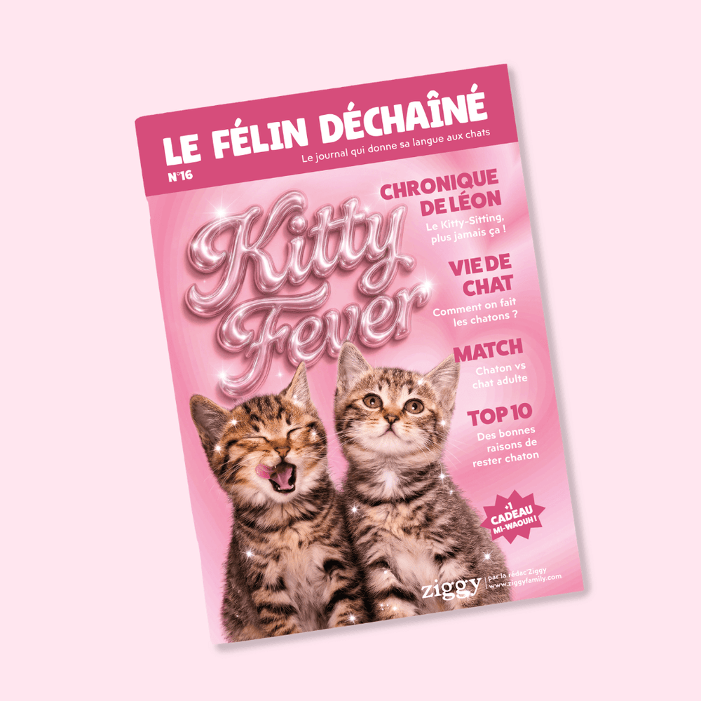 Couverture du Félin Déchaîné n°16