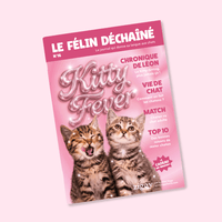 Couverture du Félin Déchaîné n°16