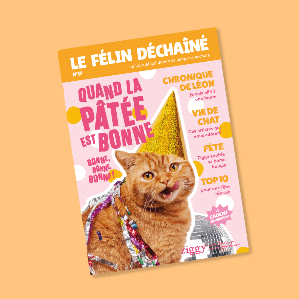 Le Félin Déchaîné numéro 17, magazine Ziggy sur la nutrition et le bien-être du chat