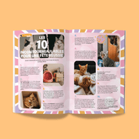 Le Félin Déchaîné numéro 17 intérieur, magazine Ziggy sur la nutrition et le bien-être du chat