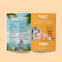Page du magazine n°5 Ziggy pour les chats, le Félin Déchaîné