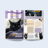 Page du magazine n°6 Ziggy pour les chats, le Félin Déchaîné