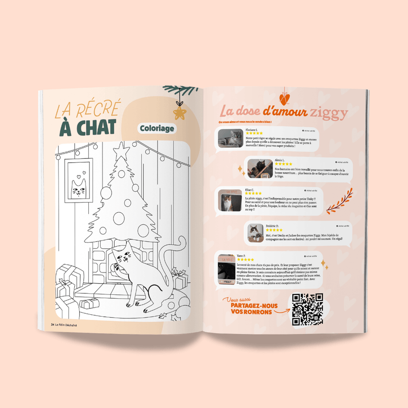 Page du magazine n°7 Ziggy pour les chats, le Félin Déchaîné