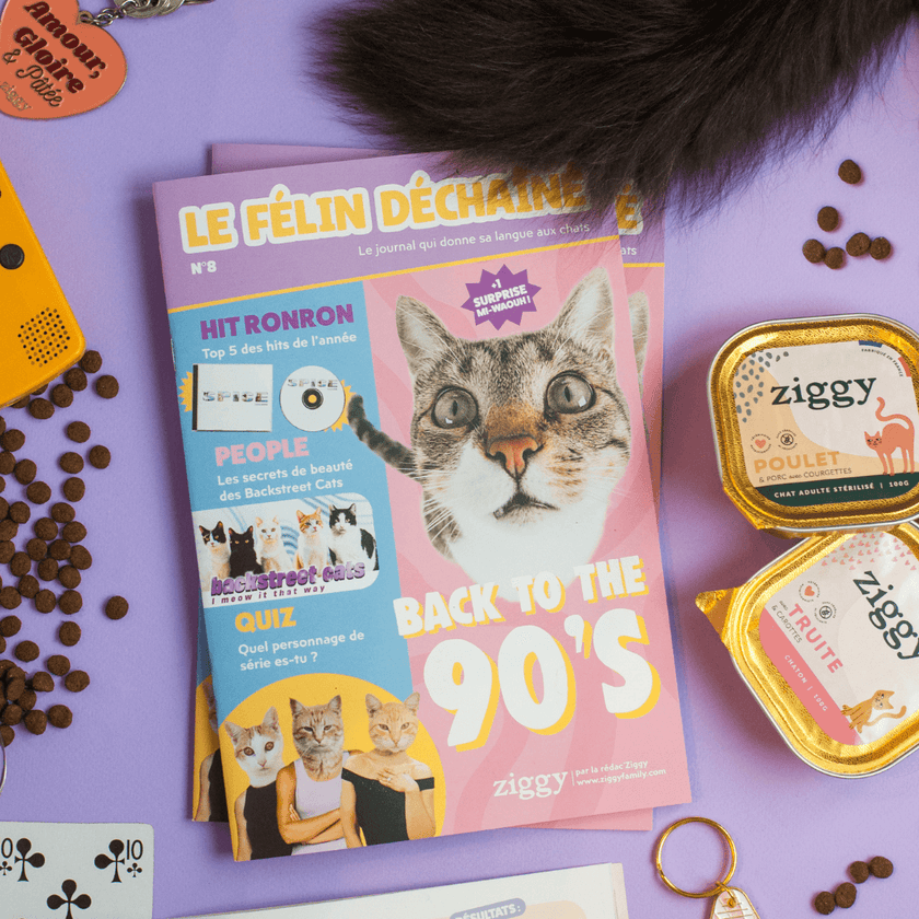 Couverture du Magazine le Félin Déchaîné de la marque pour chat Ziggy, édition n°8