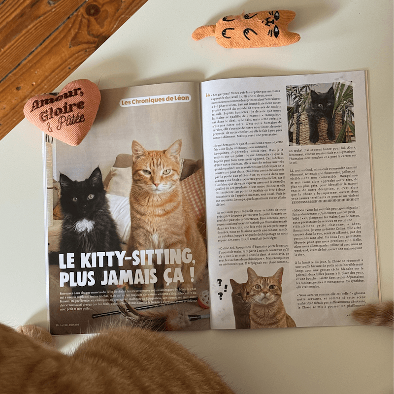Magazine Le Félin Déchaîné de Ziggy, le magazine pour les chats