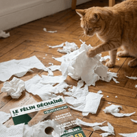 Magazine Le Félin Déchaîné de Ziggy, le magazine pour les chats