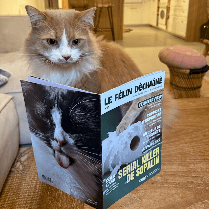 Magazine Le Félin Déchaîné de Ziggy, le magazine pour les chats