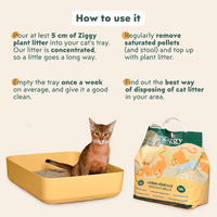 Cat using Ziggy Natural Plant-Based Cat Litter – eco-friendly litter box solution