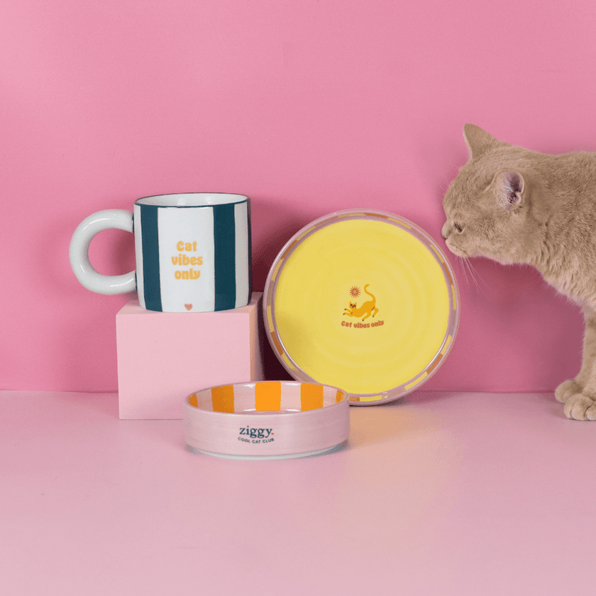 Gamme d'accessoires pour chat Ziggy Cat Vibes Only
