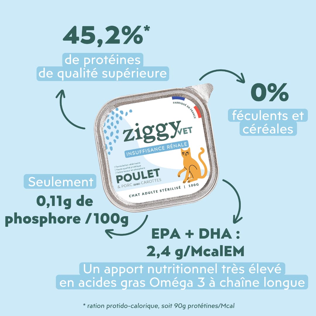 Composition de la pâtée pour chat insuffisance rénale Ziggy