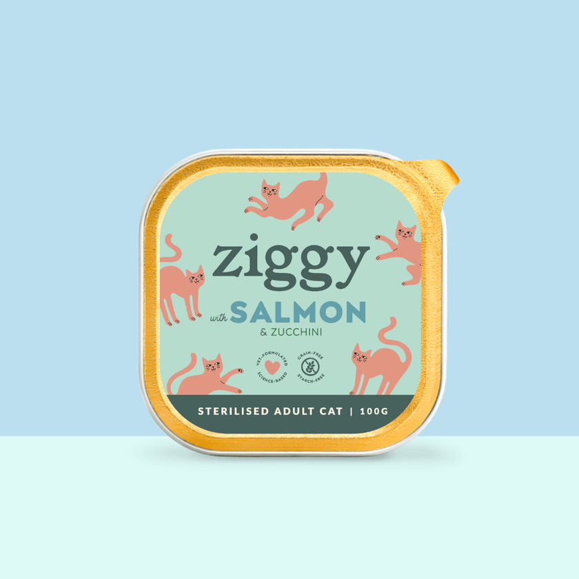Main photo of the single tray of Ziggy adult sterilised cat pâté with salmon