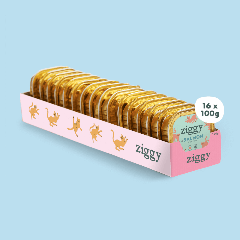 Barquette de 100g de pâtées Ziggy pour chat adulte stérilisé au saumon, saines et sans céréales