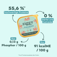 Fütterungsempfehlung für Ziggy sterilisiertes Lachs-Nassfutter für Katzen