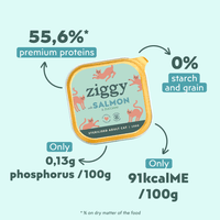 Single tray of Ziggy adult sterilised cat pâté with salmon, another packshot angle