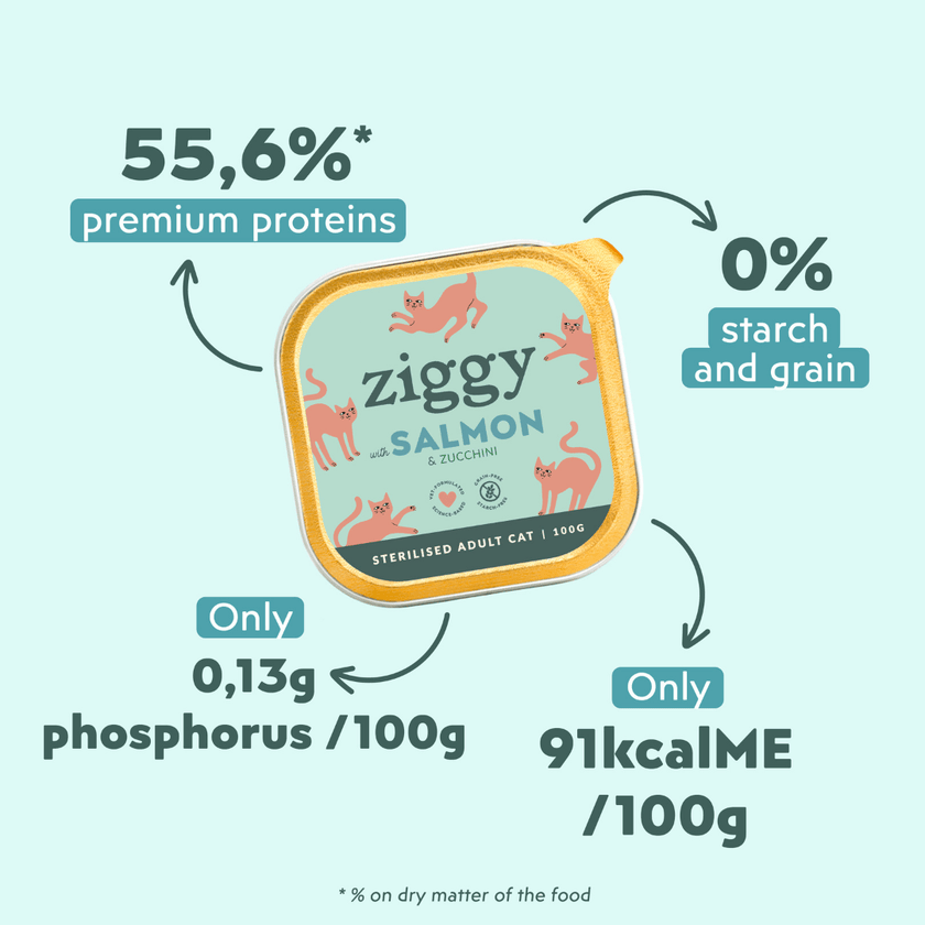 Single tray of Ziggy adult sterilised cat pâté with salmon, another packshot angle
