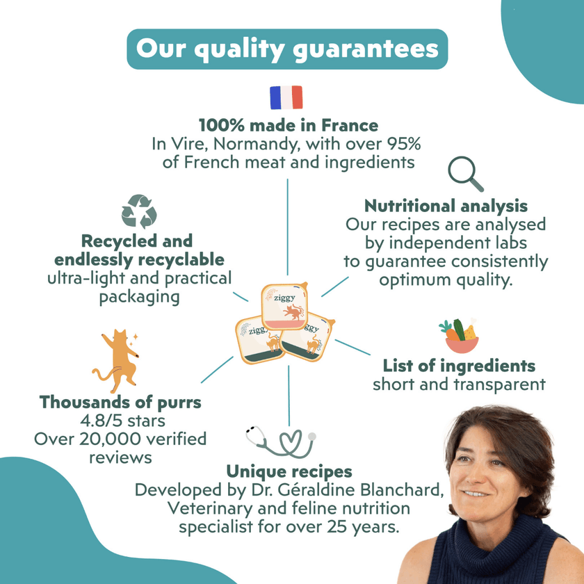 Infographic featuring a veterinarian's photo highlighting the quality of the Ziggy adult sterilised cat pâté with salmon