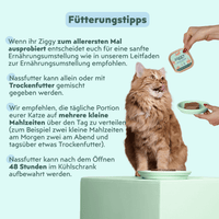 Katze genießt Ziggy sterilisiertes Lachs-Nassfutter