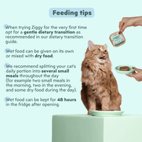 Ingredients infographic for the Ziggy adult sterilised cat pâté with salmon