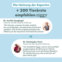 Von Tierärzten empfohlenes Ziggy sterilisiertes Lachs-Nassfutter für Katzen