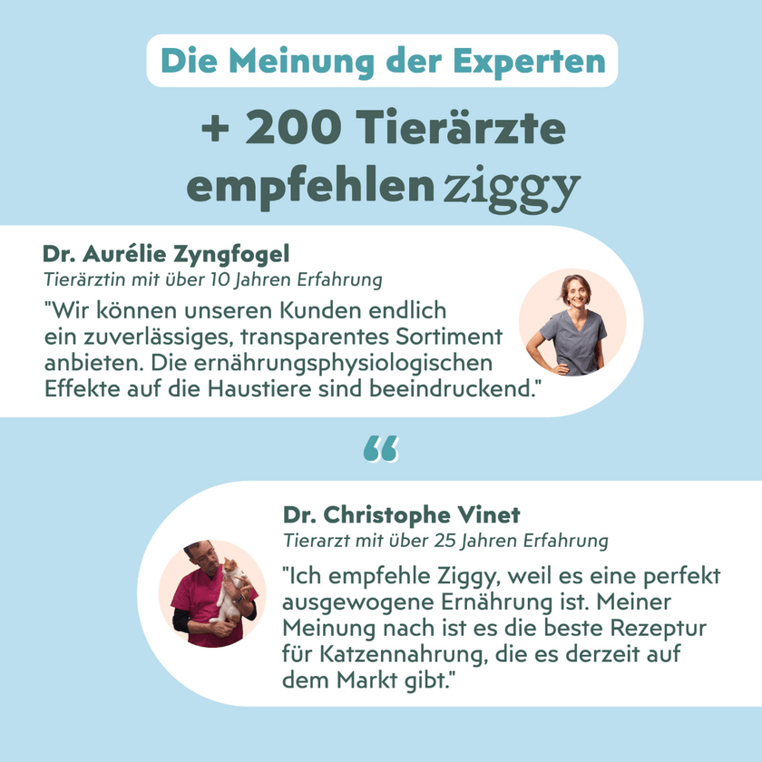Von Tierärzten empfohlenes Ziggy sterilisiertes Lachs-Nassfutter für Katzen