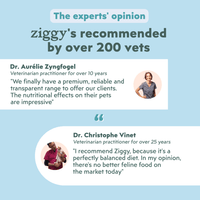 Veterinary recommendation infographic for the Ziggy adult sterilised cat pâté with salmon