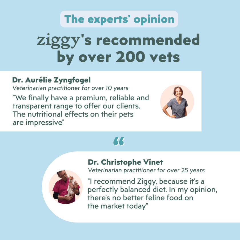Veterinary recommendation infographic for the Ziggy adult sterilised cat pâté with salmon