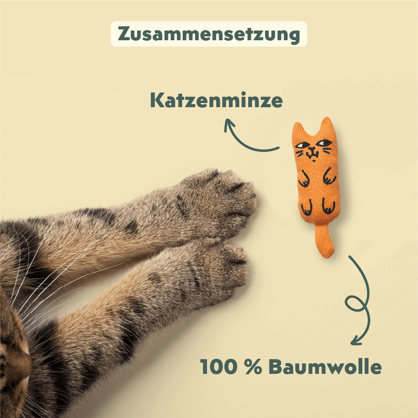 Hand hält das Ziggy Maskottchen-Plüschtier – Kuscheltier für Katzen