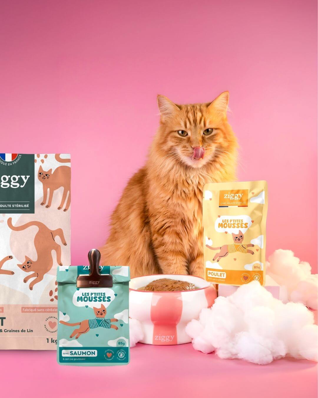 Chat roux assis entre un sac de croquettes et des sachets de mousse Ziggy du Coffret Mousses