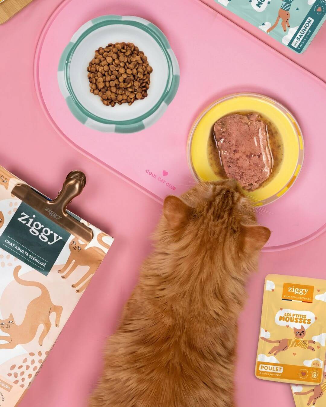 Vue du dessus d’un chat roux mangeant dans une gamelle, avec les croquettes et les mousses du Coffret Mousses Ziggy