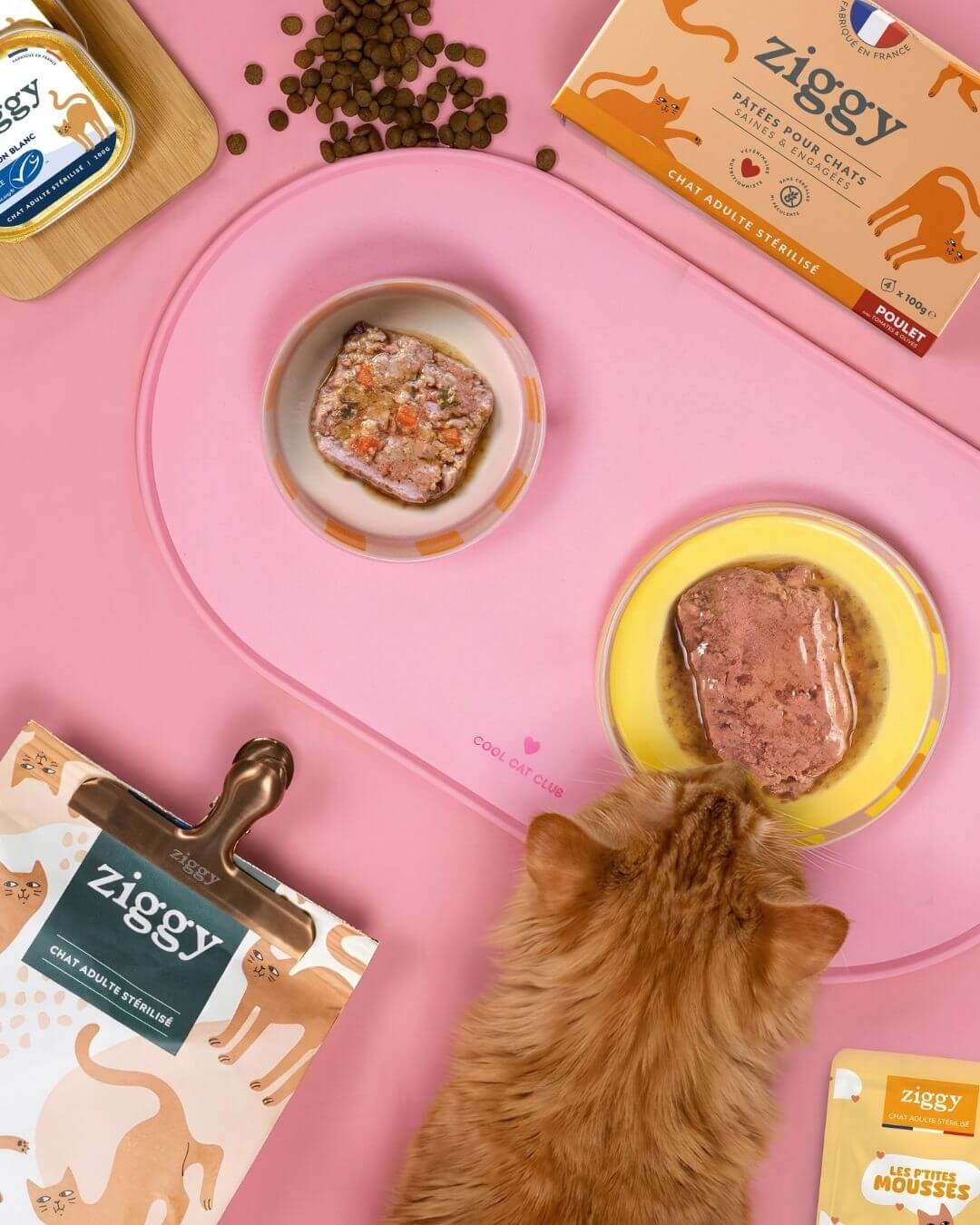 Vue du dessus d’un chat mangeant dans une gamelle, entouré des mousses et pâtées du Coffret Ronrons Party Ziggy