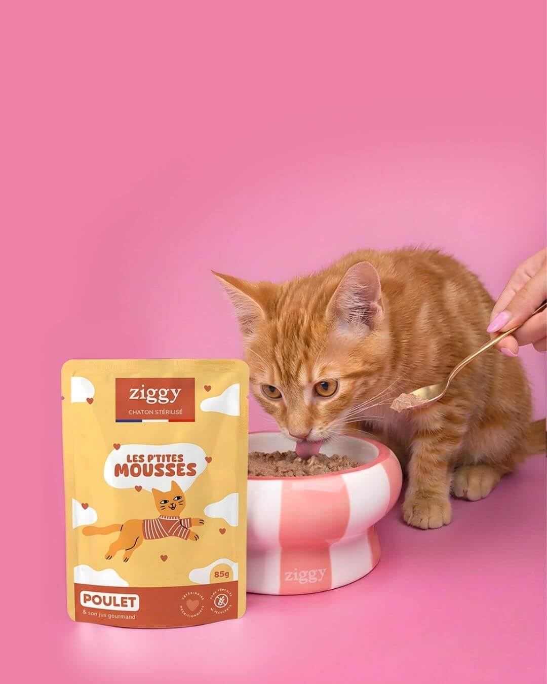 Chaton roux mangeant dans une gamelle à côté d’un sachet de mousse Ziggy pour chaton stérilisé au poulet